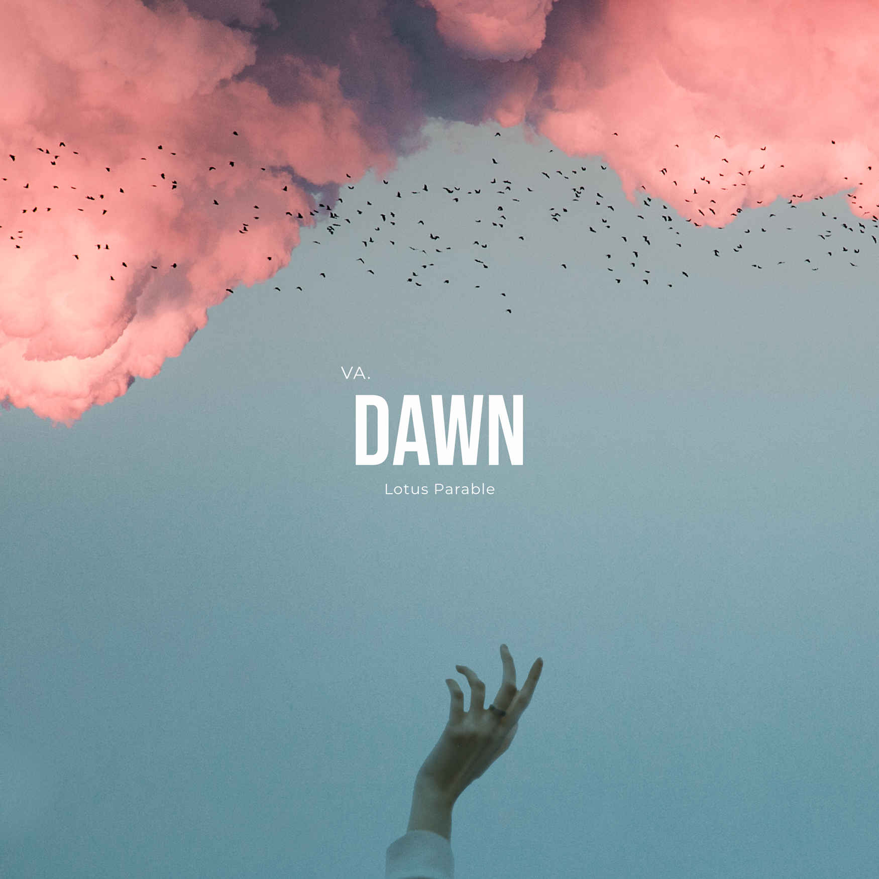 VA. Dawn released by Lotus Parable