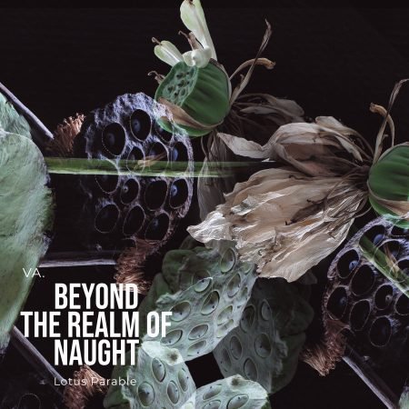 VA. Beyond the realm of naught 2022 by Lotus Parable records